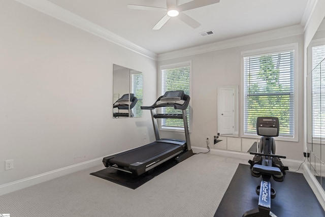712 Paxton Rose Dr, Greer, SC 29650 - exercise area with carpet flooring, a ceiling fan, baseboards, crown molding, and healthy amount of natural light