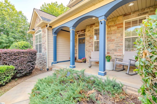 9 Windswept Knoll Dr, Taylors, SC 29687 - entrance to property featuring stone siding and covered porch