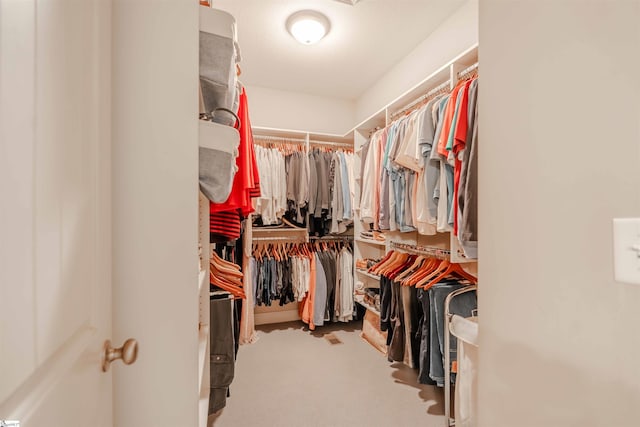9 Windswept Knoll Dr, Taylors, SC 29687 - walk in closet with carpet floors