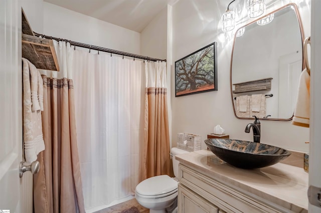 9 Windswept Knoll Dr, Taylors, SC 29687 - bathroom featuring vanity, toilet, and shower / bath combination with curtain