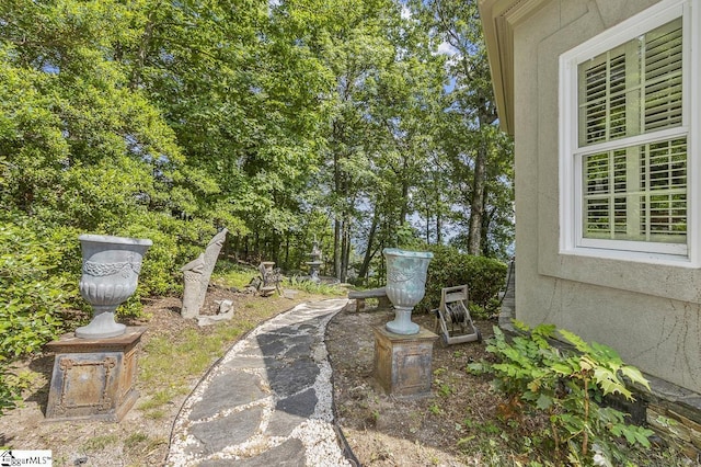 33 Southview Ledge Rd, Landrum, SC 29356 - view of yard