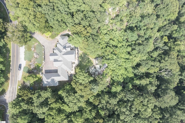 33 Southview Ledge Rd, Landrum, SC 29356 - aerial view of property's location