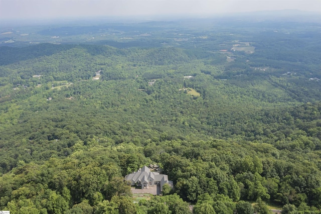 33 Southview Ledge Rd, Landrum, SC 29356 - aerial view of a forest