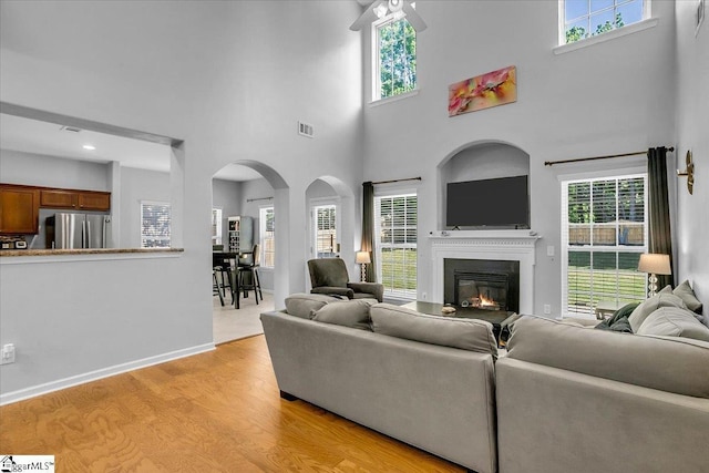 102 Eagle Pass Dr, Taylors, SC 29687 - living area with a towering ceiling, plenty of natural light, a glass covered fireplace, and light wood-style flooring
