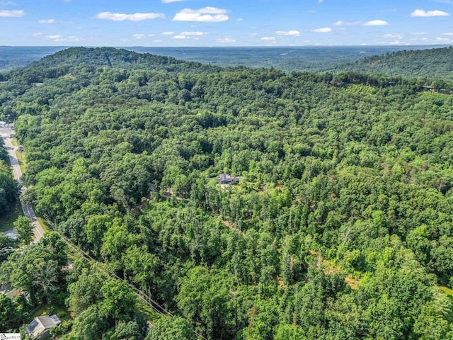 11 Hearthstone Ln, Landrum, SC 29356 - view of property location with a forest