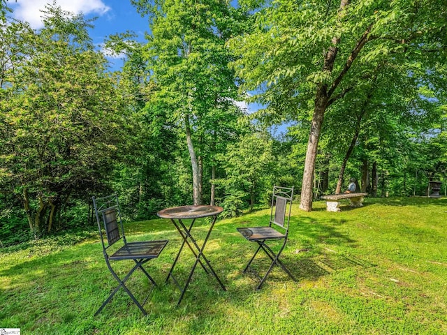 11 Hearthstone Ln, Landrum, SC 29356 - view of grassy yard