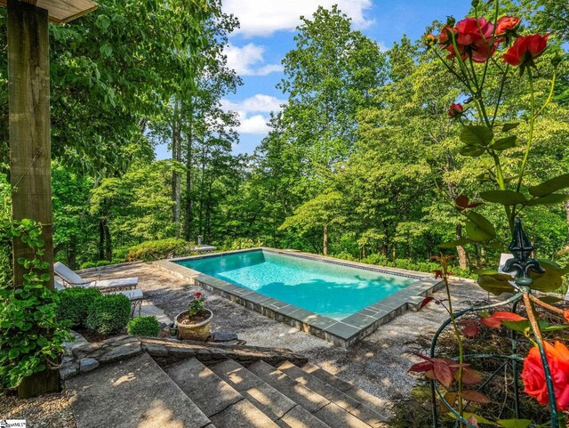 11 Hearthstone Ln, Landrum, SC 29356 - swimming pool with a patio