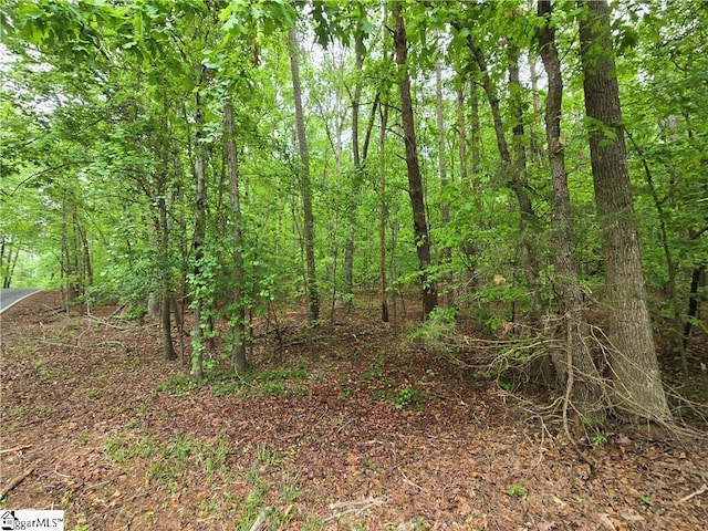 501 N Arrowhead Dr, Westminster, SC 29693