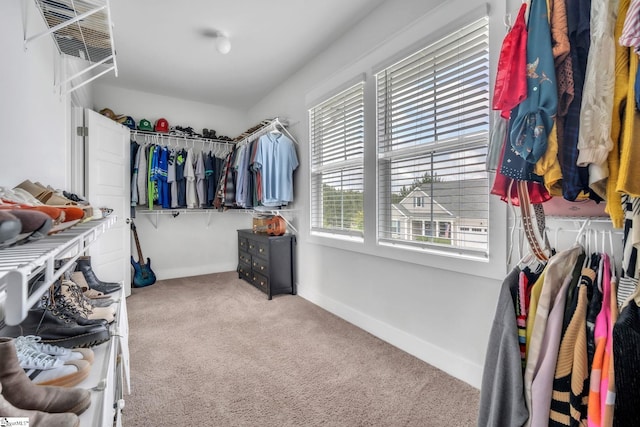 706 Torridon Ln, Simpsonville, SC 29681 - spacious closet with carpet floors