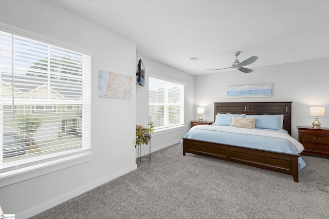 219 Button Willow St, Taylors, SC 29687 - bedroom with carpet, baseboards, and a ceiling fan