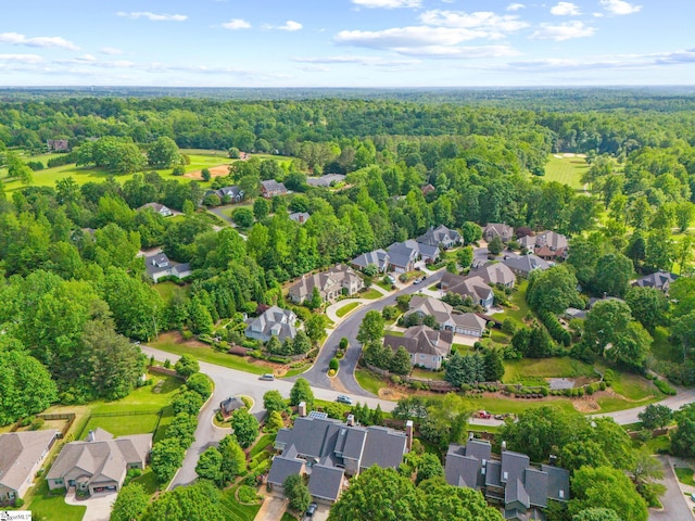 105 Hampton Grove Way, Greenville, SC 29617 - aerial view of residential area with a forest