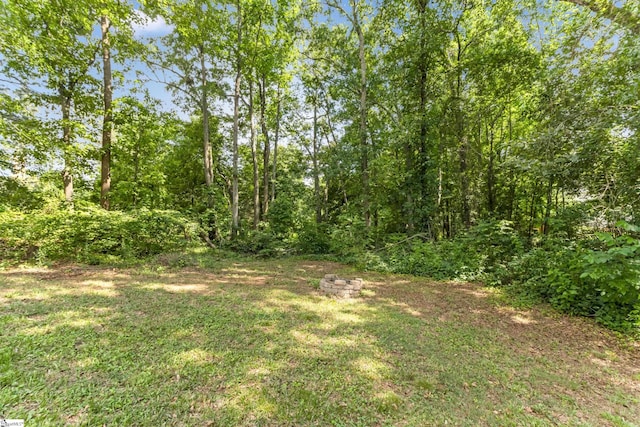 835 Terrace Creek Dr, Duncan, SC 29334 - view of grassy yard featuring an outdoor fire pit