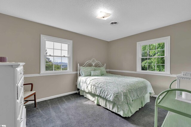 12 Ridgeline Dr, Liberty, SC 29657 - bedroom featuring multiple windows, carpet, baseboards, and a textured ceiling