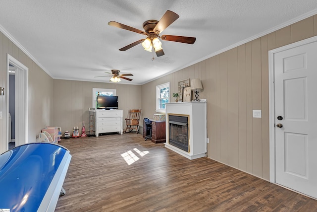 12 Ridgeline Dr, Liberty, SC 29657 - living area with crown molding, a fireplace, wood finished floors, a ceiling fan, and a textured ceiling