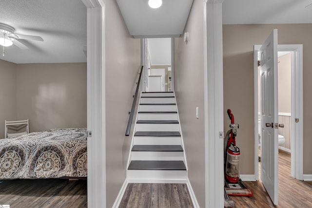 12 Ridgeline Dr, Liberty, SC 29657 - stairway with wood finished floors, ceiling fan, and baseboards