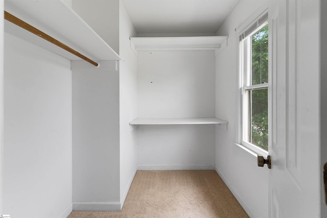 230 Donegal Dr, Moore, SC 29369 - walk in closet featuring carpet flooring