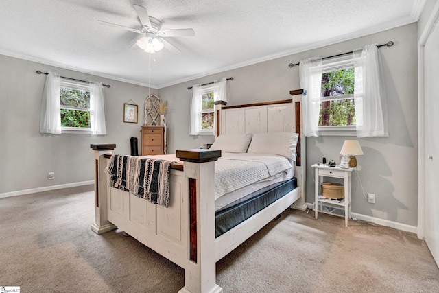 405 Wilson Bridge Rd, Simpsonville, SC 29680 - bedroom with multiple windows, light colored carpet, ornamental molding, baseboards, and a textured ceiling
