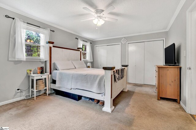 405 Wilson Bridge Rd, Simpsonville, SC 29680 - bedroom featuring multiple windows, light carpet, two closets, ornamental molding, and baseboards