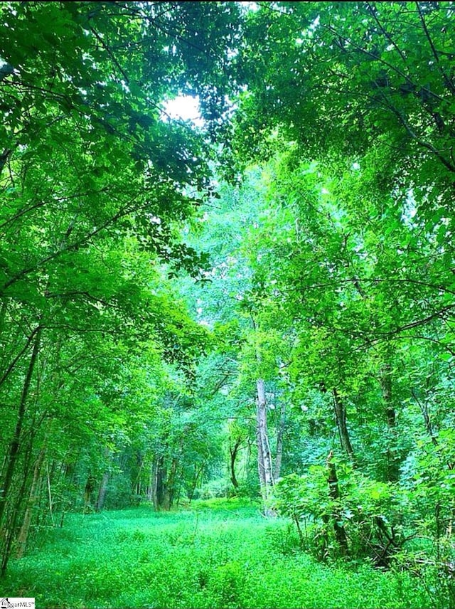 405 Wilson Bridge Rd, Simpsonville, SC 29680 - view of wooded area