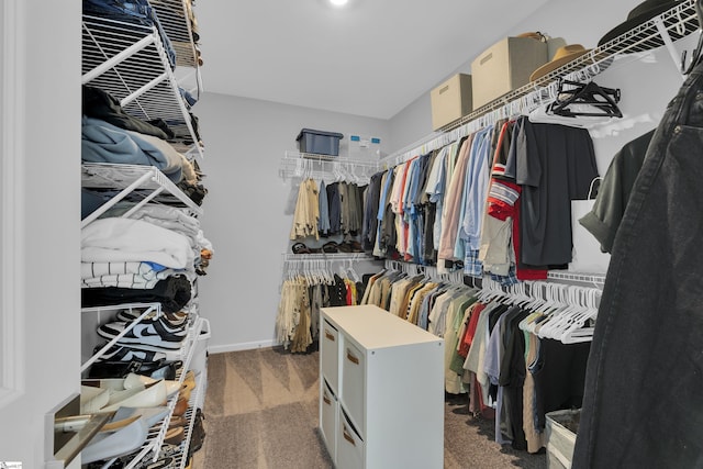 4250 Winding Ridge Ln, Boiling Springs, SC 29316 - walk in closet featuring carpet floors