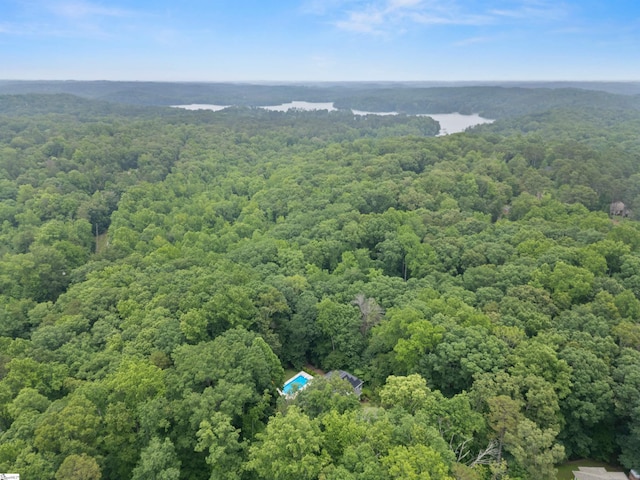 119 Oak Crest Cir, Seneca, SC 29672 - drone / aerial view of a heavily wooded area