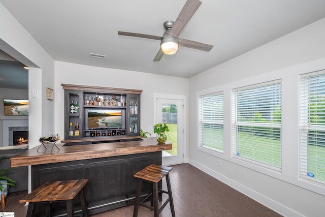 116 Quiet Creek Ct, Simpsonville, SC 29681 - indoor dry bar featuring ceiling fan, healthy amount of natural light, baseboards, and dark wood finished floors