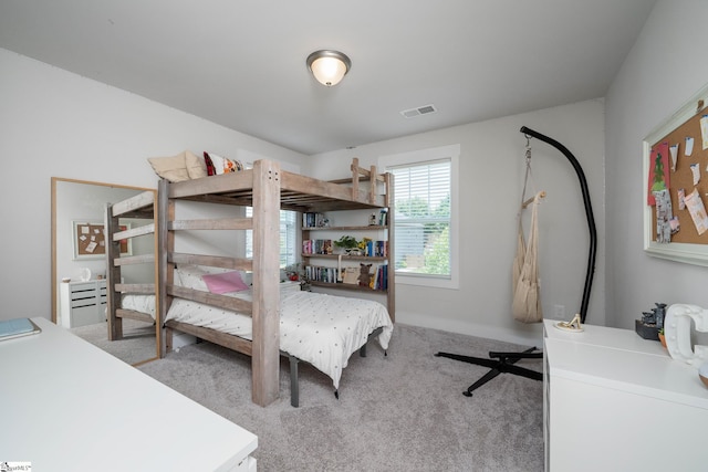 116 Quiet Creek Ct, Simpsonville, SC 29681 - view of carpeted bedroom