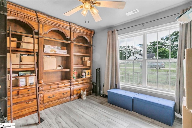 251 Heatherbrook Dr, Lyman, SC 29365 - office area with light wood-style flooring, ceiling fan, and plenty of natural light