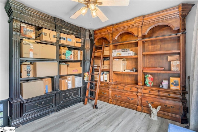 251 Heatherbrook Dr, Lyman, SC 29365 - storage featuring ceiling fan