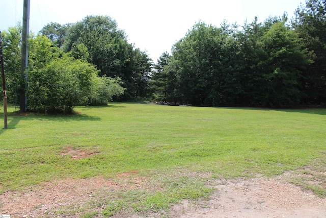 295 Dorn St, Westminster, SC 29693 - view of grassy yard