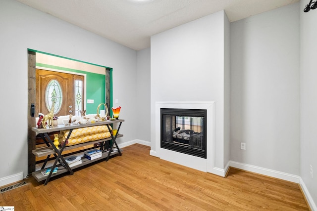 1847 Bertha Knight Rd, Lancaster, SC 29720 - living area with light wood-style flooring, baseboards, and a multi sided fireplace