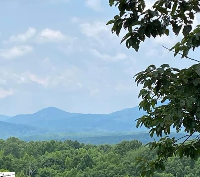 485 Packs Mountain Ridge Rd, Taylors, SC 29687