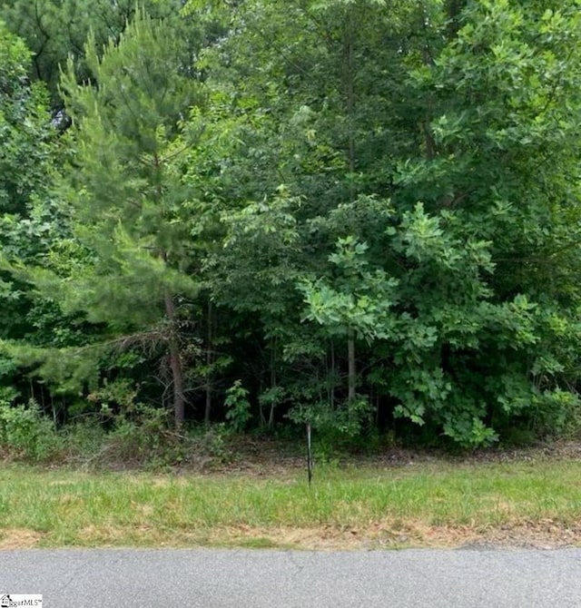 485 Packs Mountain Ridge Rd, Taylors, SC 29687