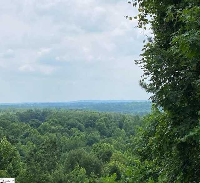 485 Packs Mountain Ridge Rd, Taylors, SC 29687
