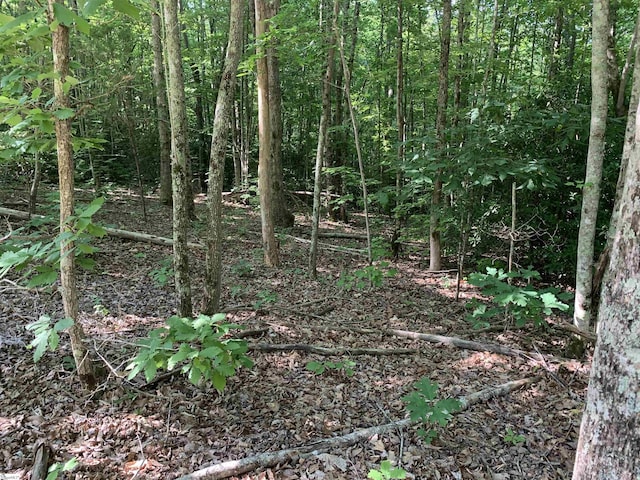 777 Trammell Rd, Travelers Rest, SC 29690 - view of undeveloped land