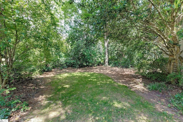 1004 Neely Farm Dr, Simpsonville, SC 29680 - view of yard featuring a wooded view