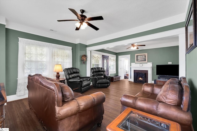 2100 Marchbanks Ave, Anderson, SC 29621 - living area featuring a ceiling fan, wood finished floors, a lit fireplace, and ornamental molding