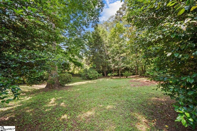304 Robin Hood Rd, Greenville, SC 29607 - view of green lawn