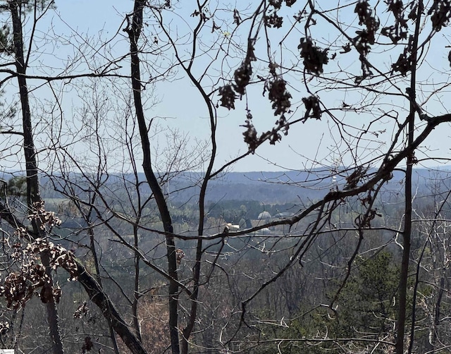 000 Goforth Rd, Landrum, SC 29356