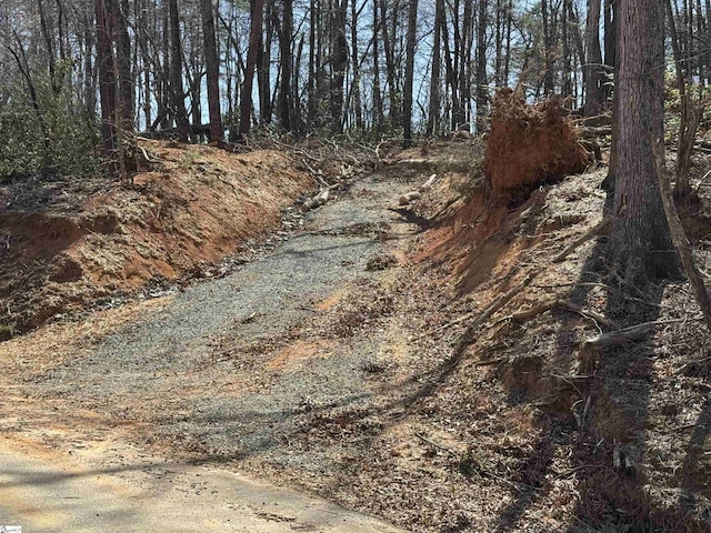 000 Goforth Rd, Landrum, SC 29356