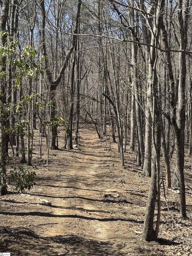 000 Goforth Rd, Landrum, SC 29356