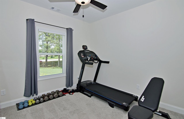 1608 Rock Springs Rd, Lavonia, GA 30553 - workout room featuring ceiling fan, baseboards, and carpet flooring