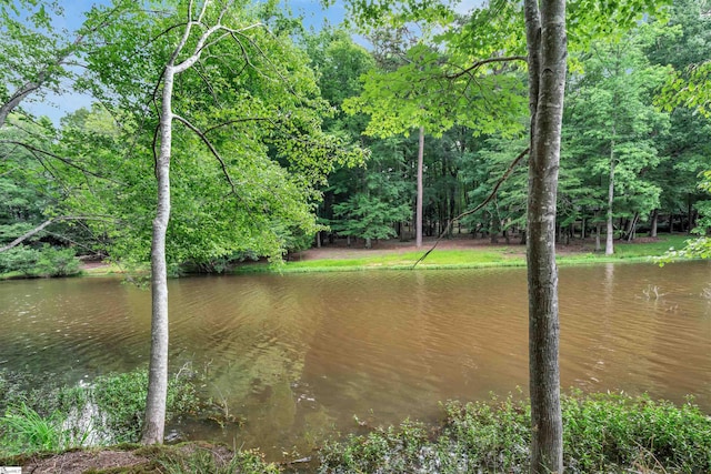141 Shoreham Rd, Spartanburg, SC 29307 - water view