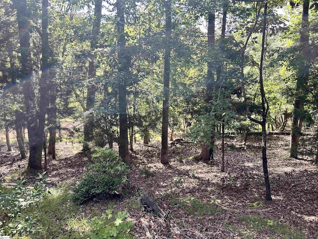 141 Shoreham Rd, Spartanburg, SC 29307 - view of undeveloped land