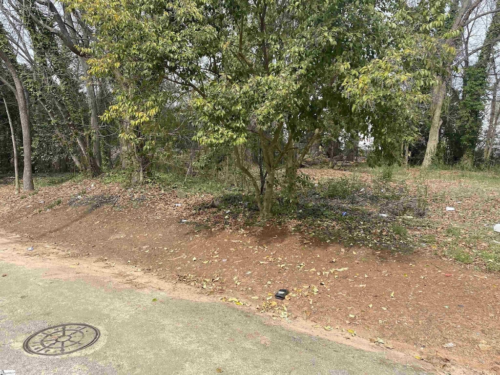 11 Trotter Aly, Greenville, SC 29605