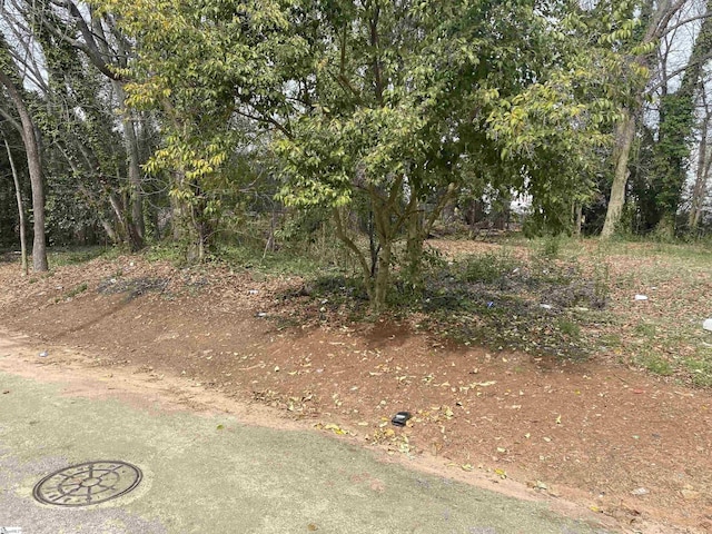 11 Trotter Aly, Greenville, SC 29605