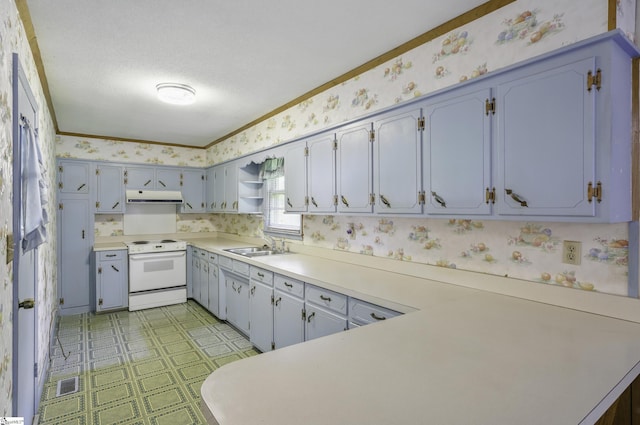 367 Janulis St, Spartanburg, SC 29301 - kitchen featuring electric stove, wallpapered walls, ventilation hood, open shelves, and a sink