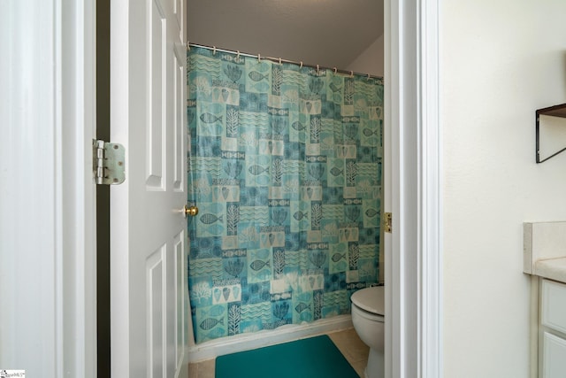 10 Sunset Mountain Ct, Travelers Rest, SC 29690 - full bath with toilet and tile patterned floors