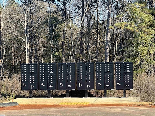 915 Gibbons St Lot 96, Wellford, SC 29385 - view of surrounding community