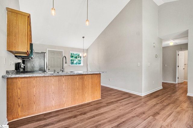 114 Tamelia Ct, Greer, SC 29650 - kitchen with high vaulted ceiling, a peninsula, a sink, wood finished floors, and brown cabinetry
